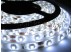 LED лента 3528/60 герметичная (IP65) standart